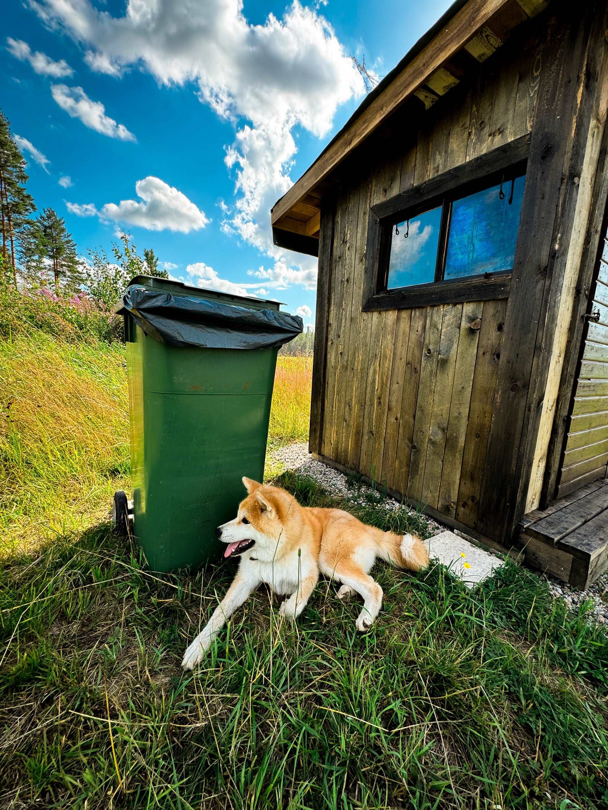 Karhulan Koirakallio