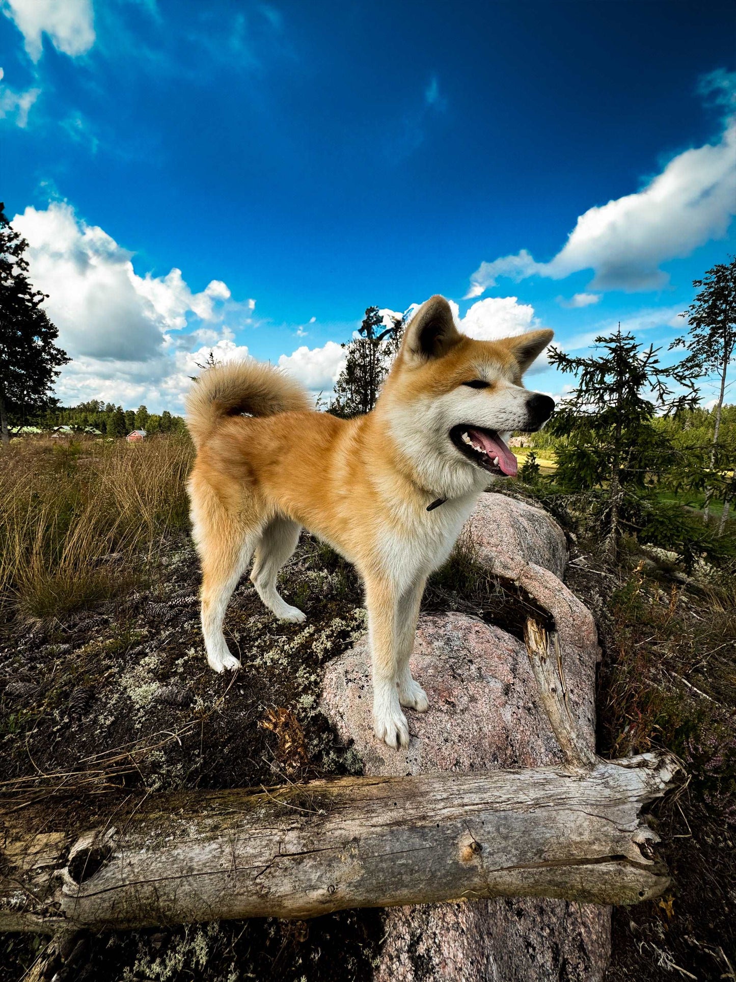 10h kortti 180 eurolla